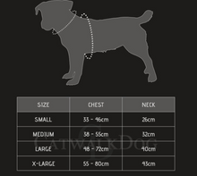 Load image into Gallery viewer, Chewy Louis Harness