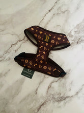 Load image into Gallery viewer, Chewy Louis Harness