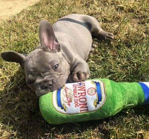 Pawroni Beer Bottle Plush Dog Toy