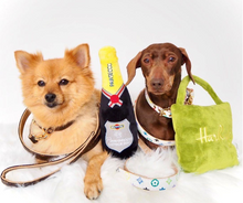 Load image into Gallery viewer, Pawsecco Bottle Plush Dog Toy
